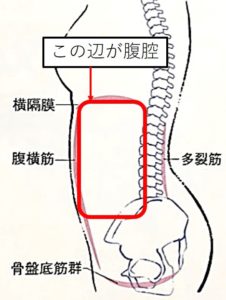 腹腔の図