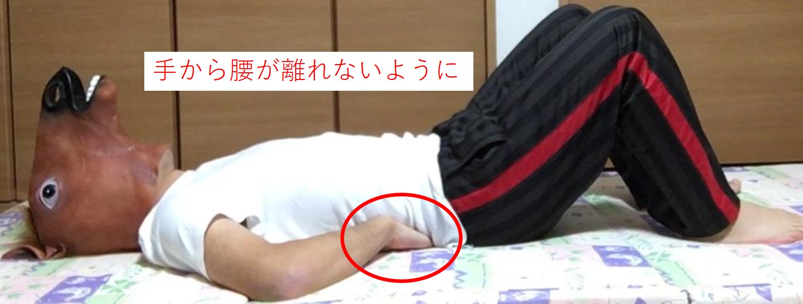 ドローインは腹横筋の感覚を掴むエクササイズです | 運動のトリセツ